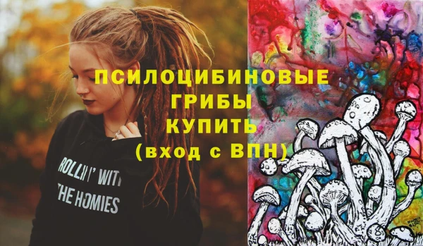крисы Горнозаводск